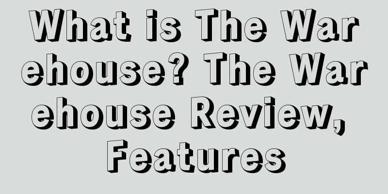 What is The Warehouse? The Warehouse Review, Features