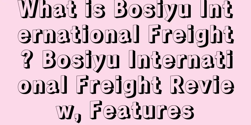 What is Bosiyu International Freight? Bosiyu International Freight Review, Features