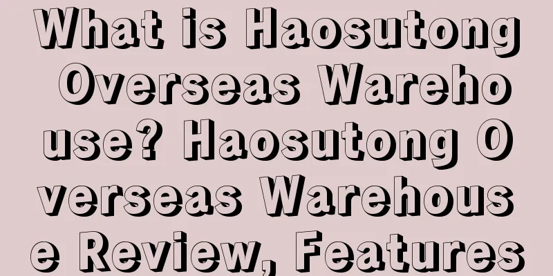What is Haosutong Overseas Warehouse? Haosutong Overseas Warehouse Review, Features