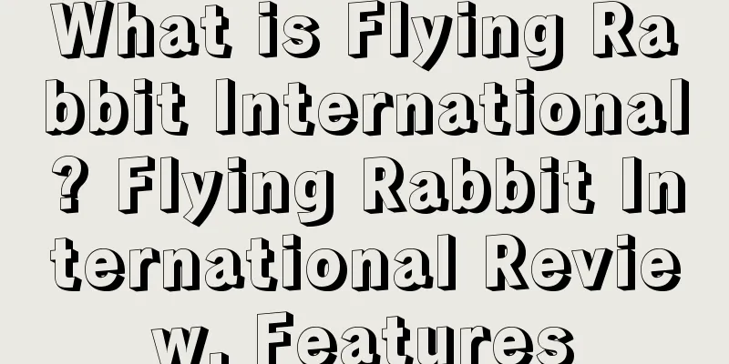 What is Flying Rabbit International? Flying Rabbit International Review, Features