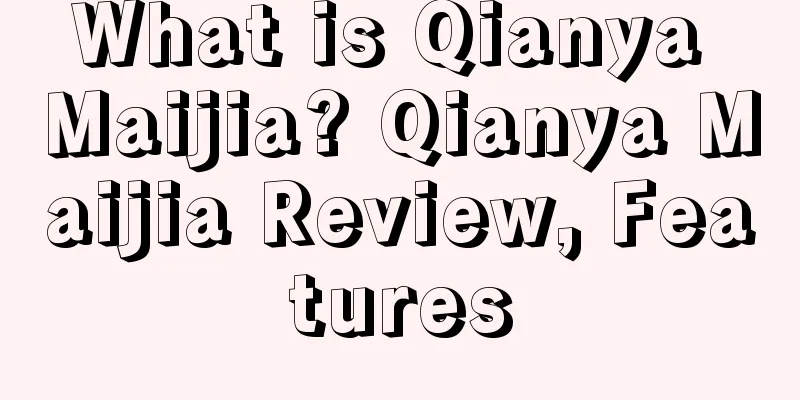 What is Qianya Maijia? Qianya Maijia Review, Features