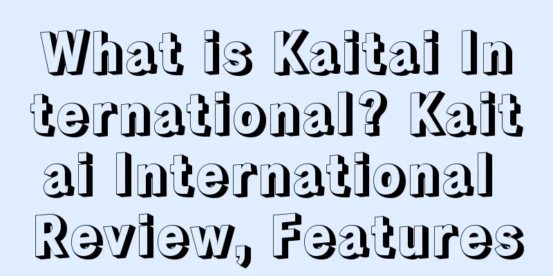 What is Kaitai International? Kaitai International Review, Features