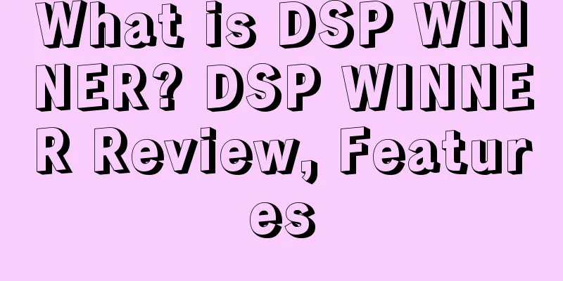 What is DSP WINNER? DSP WINNER Review, Features