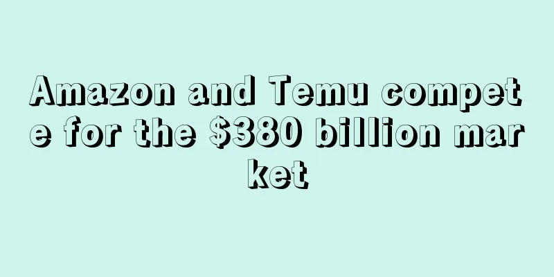 Amazon and Temu compete for the $380 billion market