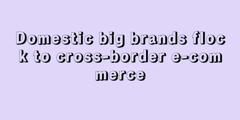 Domestic big brands flock to cross-border e-commerce