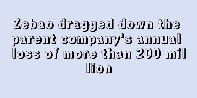 Zebao dragged down the parent company's annual loss of more than 200 million