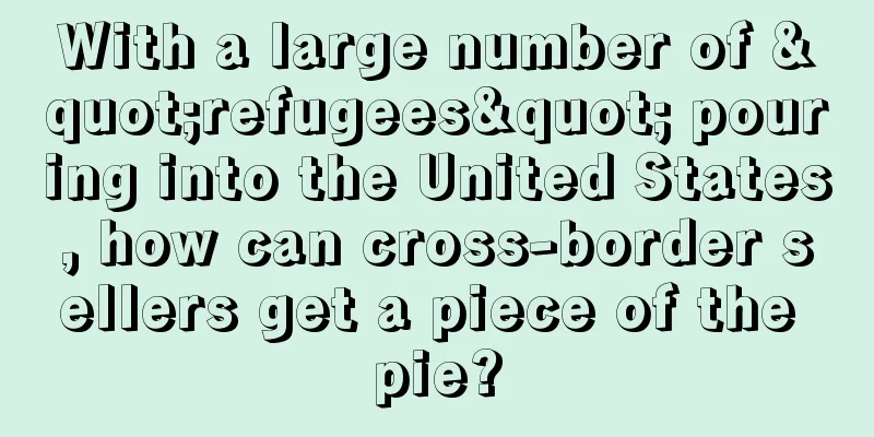 With a large number of "refugees" pouring into the United States, how can cross-border sellers get a piece of the pie?