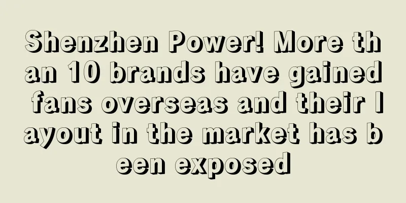 Shenzhen Power! More than 10 brands have gained fans overseas and their layout in the market has been exposed