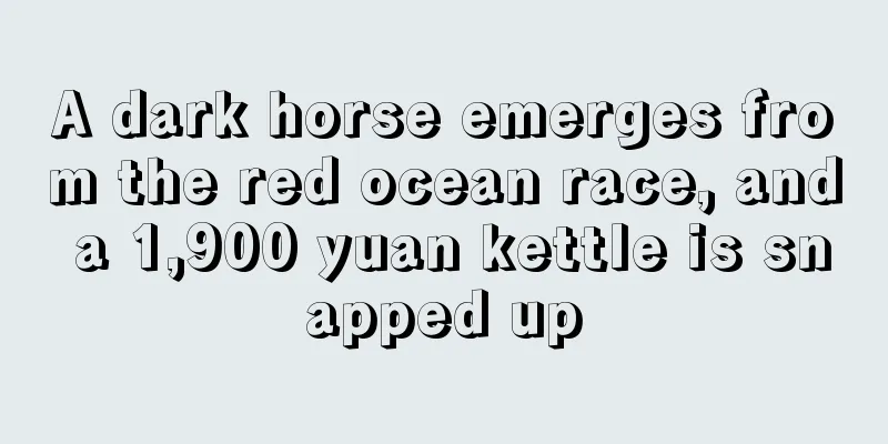A dark horse emerges from the red ocean race, and a 1,900 yuan kettle is snapped up