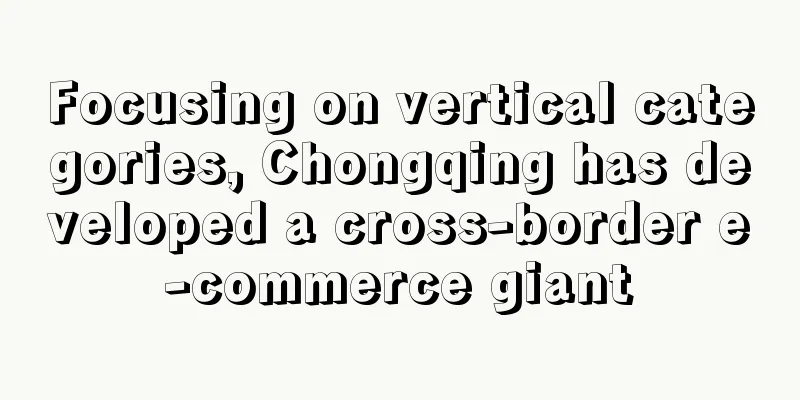 Focusing on vertical categories, Chongqing has developed a cross-border e-commerce giant