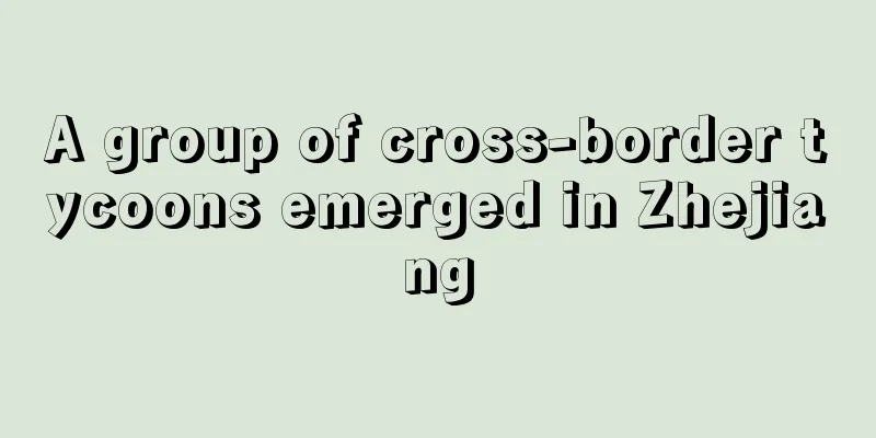 A group of cross-border tycoons emerged in Zhejiang