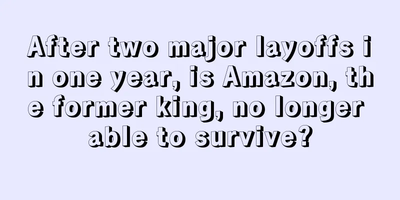 After two major layoffs in one year, is Amazon, the former king, no longer able to survive?