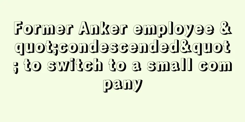 Former Anker employee "condescended" to switch to a small company