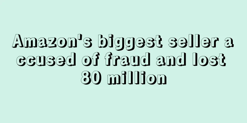 Amazon's biggest seller accused of fraud and lost 80 million