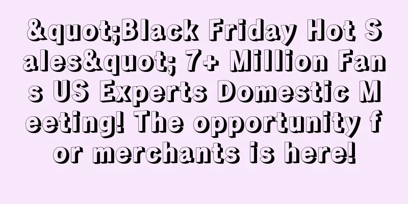 "Black Friday Hot Sales" 7+ Million Fans US Experts Domestic Meeting! The opportunity for merchants is here!