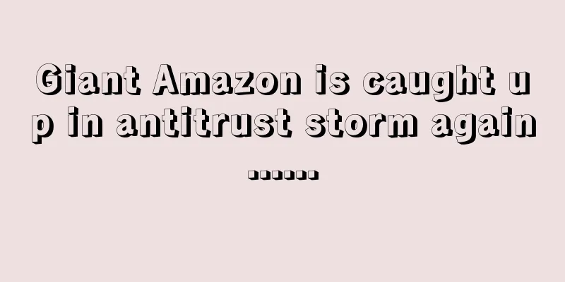 Giant Amazon is caught up in antitrust storm again......