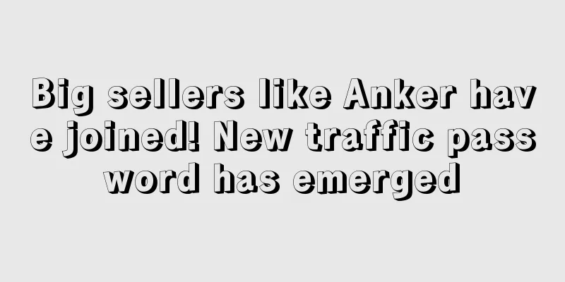 Big sellers like Anker have joined! New traffic password has emerged