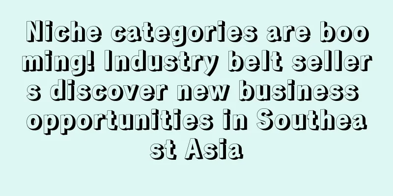 Niche categories are booming! Industry belt sellers discover new business opportunities in Southeast Asia