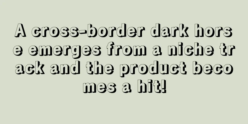 A cross-border dark horse emerges from a niche track and the product becomes a hit!