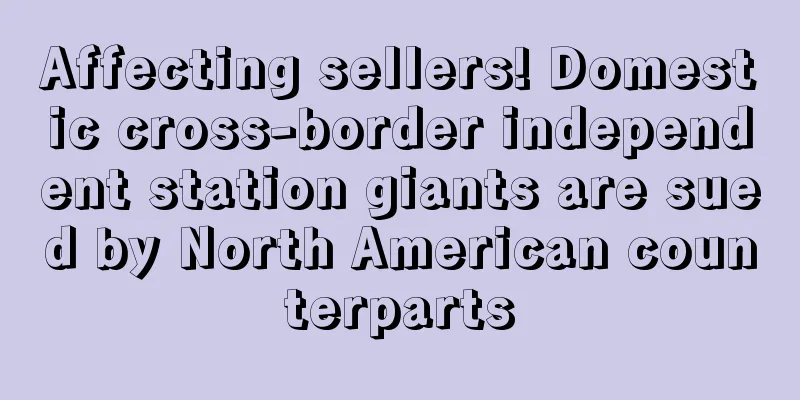 Affecting sellers! Domestic cross-border independent station giants are sued by North American counterparts