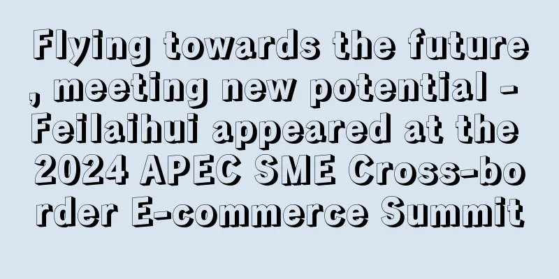 Flying towards the future, meeting new potential - Feilaihui appeared at the 2024 APEC SME Cross-border E-commerce Summit
