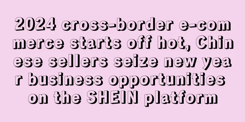 2024 cross-border e-commerce starts off hot, Chinese sellers seize new year business opportunities on the SHEIN platform