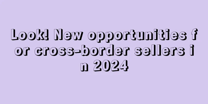 Look! New opportunities for cross-border sellers in 2024
