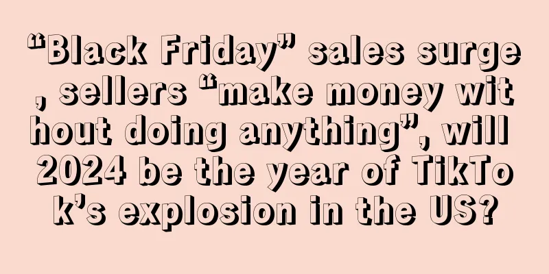 “Black Friday” sales surge, sellers “make money without doing anything”, will 2024 be the year of TikTok’s explosion in the US?