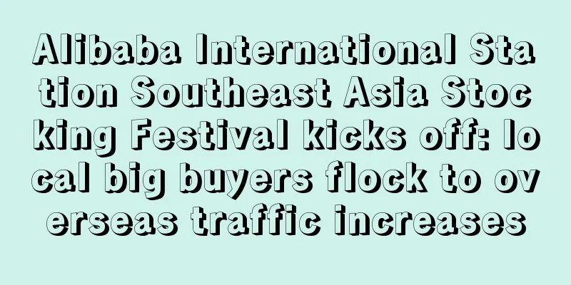 Alibaba International Station Southeast Asia Stocking Festival kicks off: local big buyers flock to overseas traffic increases