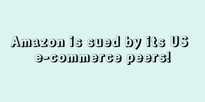 Amazon is sued by its US e-commerce peers!
