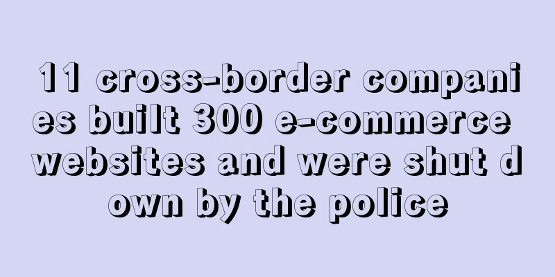 11 cross-border companies built 300 e-commerce websites and were shut down by the police