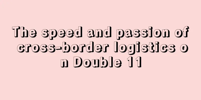 The speed and passion of cross-border logistics on Double 11