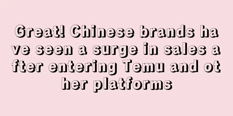 Great! Chinese brands have seen a surge in sales after entering Temu and other platforms