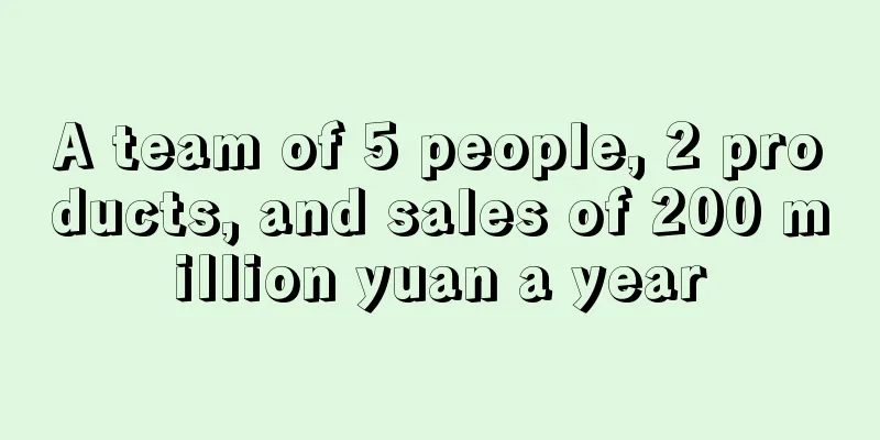 A team of 5 people, 2 products, and sales of 200 million yuan a year