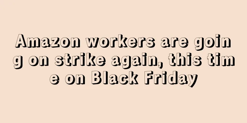 Amazon workers are going on strike again, this time on Black Friday