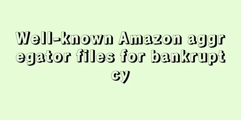 Well-known Amazon aggregator files for bankruptcy