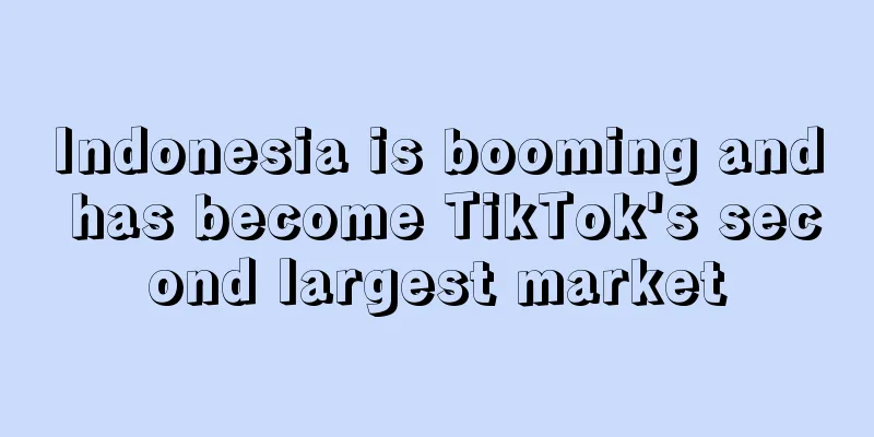 Indonesia is booming and has become TikTok's second largest market