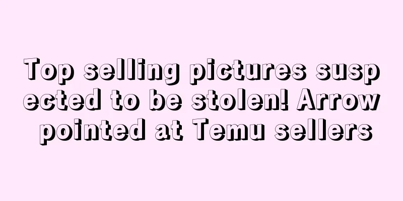 Top selling pictures suspected to be stolen! Arrow pointed at Temu sellers