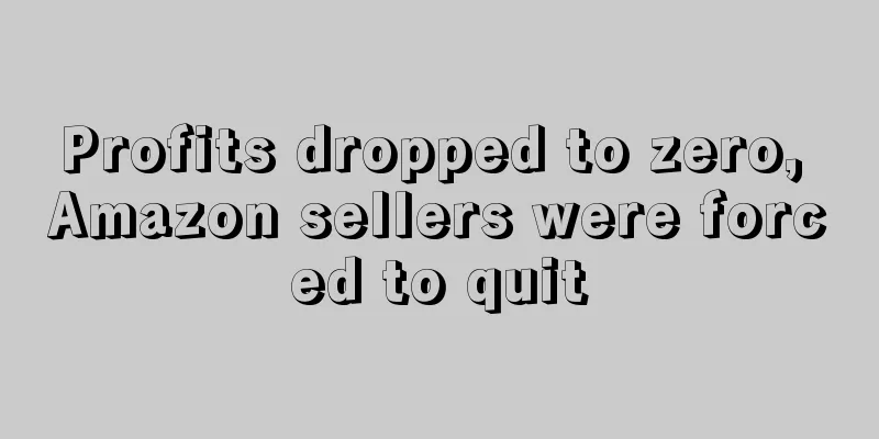 Profits dropped to zero, Amazon sellers were forced to quit