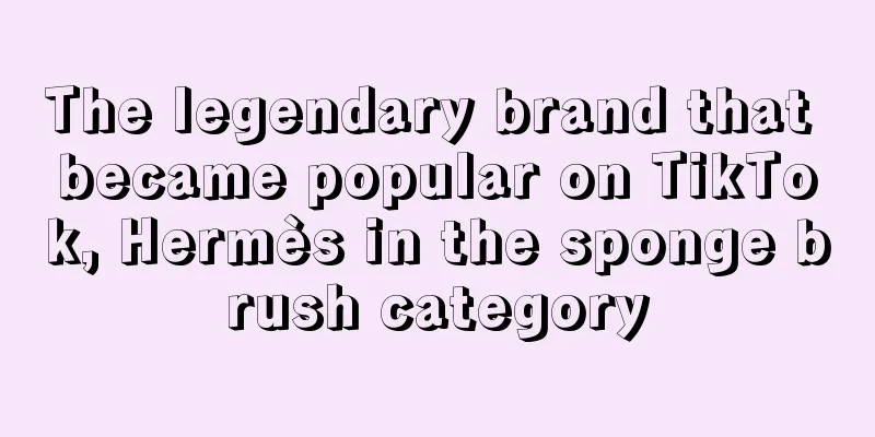 The legendary brand that became popular on TikTok, Hermès in the sponge brush category