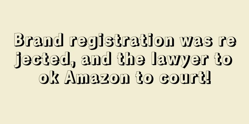Brand registration was rejected, and the lawyer took Amazon to court!