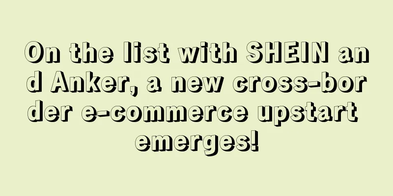 On the list with SHEIN and Anker, a new cross-border e-commerce upstart emerges!