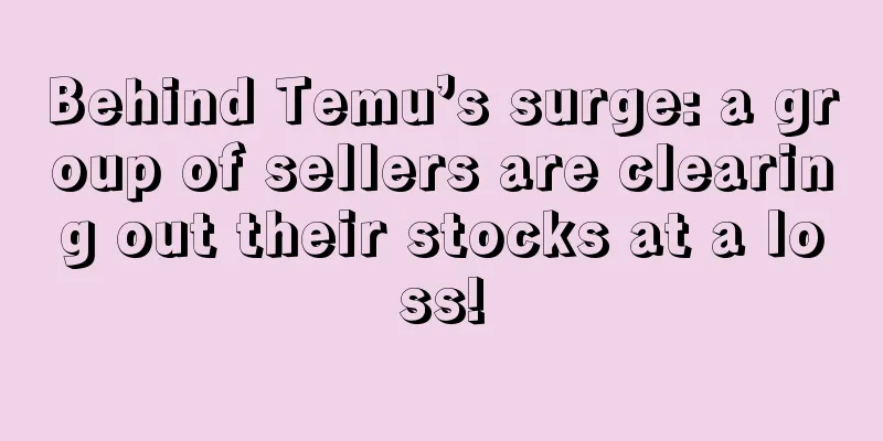 Behind Temu’s surge: a group of sellers are clearing out their stocks at a loss!
