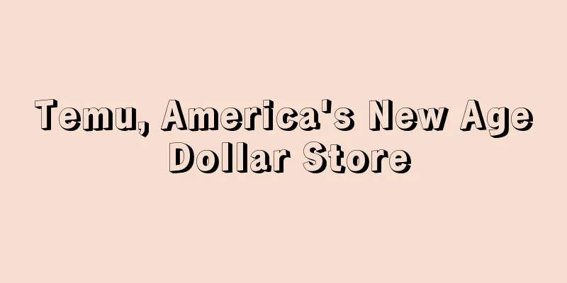 Temu, America's New Age Dollar Store