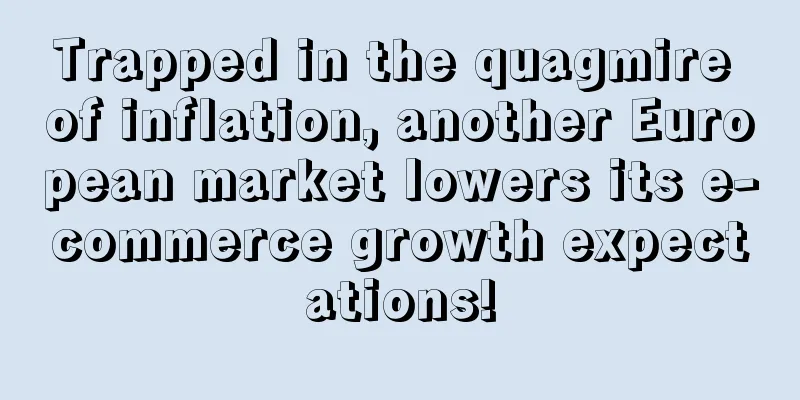 Trapped in the quagmire of inflation, another European market lowers its e-commerce growth expectations!