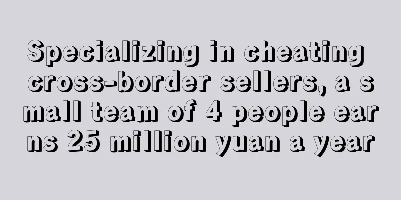Specializing in cheating cross-border sellers, a small team of 4 people earns 25 million yuan a year