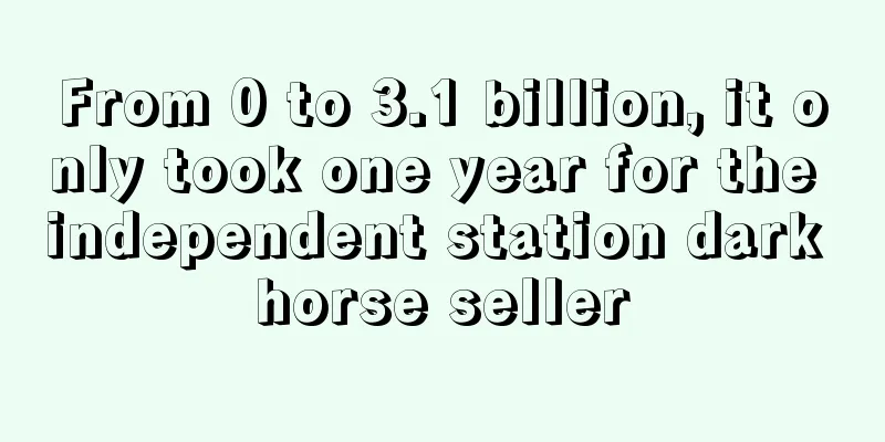 From 0 to 3.1 billion, it only took one year for the independent station dark horse seller