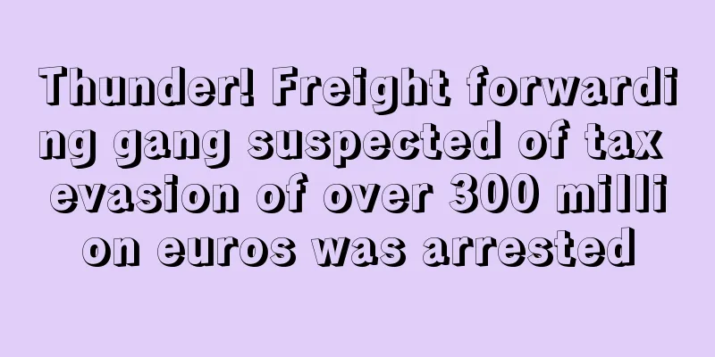 Thunder! Freight forwarding gang suspected of tax evasion of over 300 million euros was arrested