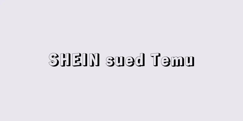 SHEIN sued Temu