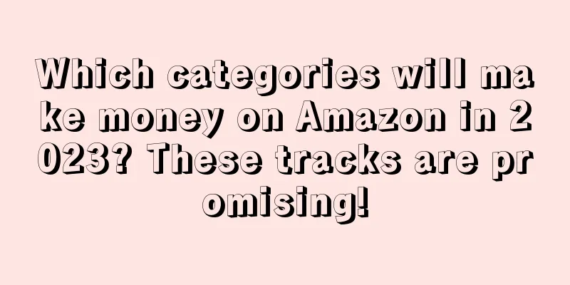 Which categories will make money on Amazon in 2023? These tracks are promising!